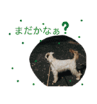 Clear's reply（個別スタンプ：11）