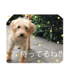 Clear's reply（個別スタンプ：14）