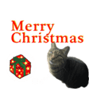 リュウくんのクリスマススタンプ（個別スタンプ：4）
