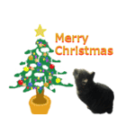 リュウくんのクリスマススタンプ（個別スタンプ：5）