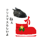 リュウくんのクリスマススタンプ（個別スタンプ：6）