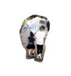 hsmamao（個別スタンプ：5）