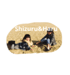 hsmamao（個別スタンプ：7）