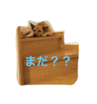 使えるこたろう（個別スタンプ：7）