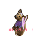 使えるこたろう（個別スタンプ：15）