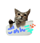 mugichannel2（個別スタンプ：1）