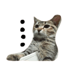 mugichannel2（個別スタンプ：2）