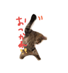 mugichannel2（個別スタンプ：3）