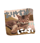 mugichannel2（個別スタンプ：5）