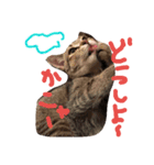 mugichannel2（個別スタンプ：6）