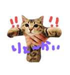 mugichannel2（個別スタンプ：7）