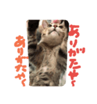 mugichannel2（個別スタンプ：8）