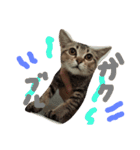 mugichannel2（個別スタンプ：9）