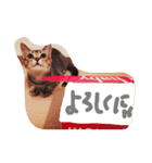 mugichannel2（個別スタンプ：10）