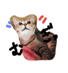 mugichannel2（個別スタンプ：11）