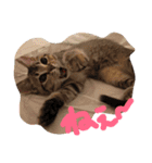 mugichannel2（個別スタンプ：12）