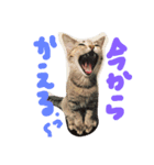 mugichannel2（個別スタンプ：13）