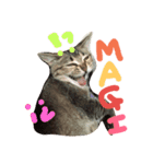 mugichannel2（個別スタンプ：16）