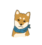 Shiba inu Hinoki ＆ Mary（個別スタンプ：1）