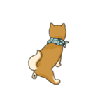 Shiba inu Hinoki ＆ Mary（個別スタンプ：2）