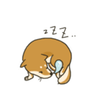 Shiba inu Hinoki ＆ Mary（個別スタンプ：5）