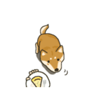 Shiba inu Hinoki ＆ Mary（個別スタンプ：6）