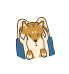 Shiba inu Hinoki ＆ Mary（個別スタンプ：17）