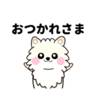ポコちゃん（ポメ）（個別スタンプ：1）