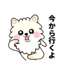 ポコちゃん（ポメ）（個別スタンプ：4）