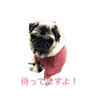 Pretty stamp of naughty PUTCHI（個別スタンプ：3）