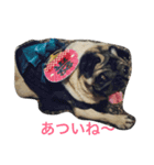 Pretty stamp of naughty PUTCHI（個別スタンプ：4）