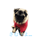 Pretty stamp of naughty PUTCHI（個別スタンプ：5）