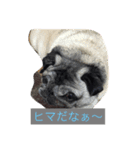 Pretty stamp of naughty PUTCHI（個別スタンプ：9）