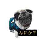 Pretty stamp of naughty PUTCHI（個別スタンプ：10）