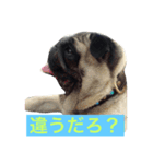 Pretty stamp of naughty PUTCHI（個別スタンプ：11）