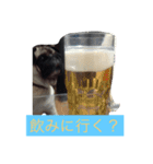 Pretty stamp of naughty PUTCHI（個別スタンプ：14）