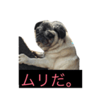 Pretty stamp of naughty PUTCHI（個別スタンプ：15）