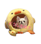 I LOVE りんちゃん（個別スタンプ：1）
