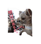 I LOVE りんちゃん（個別スタンプ：6）