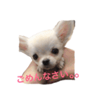 I LOVE りんちゃん（個別スタンプ：7）
