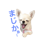 I LOVE りんちゃん（個別スタンプ：14）
