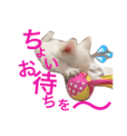 I LOVE りんちゃん（個別スタンプ：17）