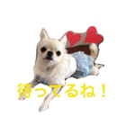 I LOVE りんちゃん（個別スタンプ：18）