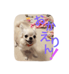 I LOVE りんちゃん（個別スタンプ：19）