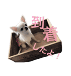 I LOVE りんちゃん（個別スタンプ：21）