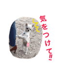I LOVE りんちゃん（個別スタンプ：22）