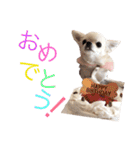I LOVE りんちゃん（個別スタンプ：29）