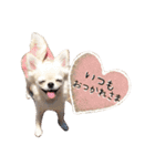 I LOVE りんちゃん（個別スタンプ：30）