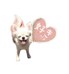 I LOVE りんちゃん（個別スタンプ：31）
