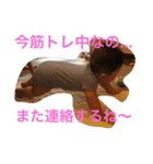 りゅうちゃん2（個別スタンプ：4）